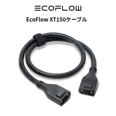 ecoflow alternator charger xt150出力ケーブル 500wのおすすめ人気