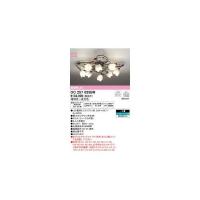オーデリック ODELIC OC257025BR ランプ別梱包 | iDECA