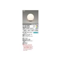 オーデリック ODELIC OT265030RG ランプ別梱包 | iDECA