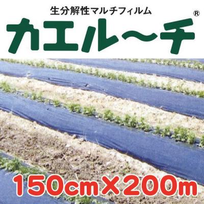 分解マルチの商品一覧 通販 - Yahoo!ショッピング