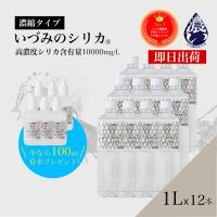 いづみのシリカヤフー店 トップ