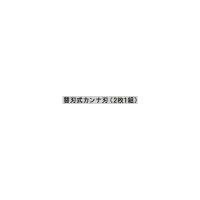 (送料無料) 京セラ(KYOCERA) カンナ用 6660375 替刃式カンナ刃 2枚1組 | 家ファン! Yahoo!店