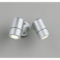 [OG254565LR]オーデリック（ODELIC）LEDエクステリアライト　スポットライト | 家store