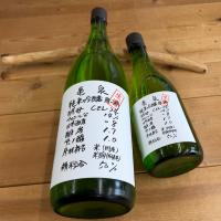 日本酒 高知 亀泉 純米吟醸生原酒 CEL-24 八反錦 1800ml （亀CEL24）（新特） | いごっそう酒屋佐々木
