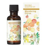 生活の木 ブレンド精油 ワンダリングシトラス 30ml | いいもの健康