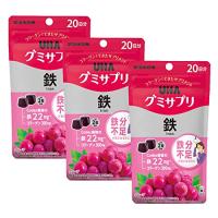【まとめ買い】グミサプリ 鉄 20日分(40粒) グレープ味 3個セット(60日分) | iinos Yahoo!店