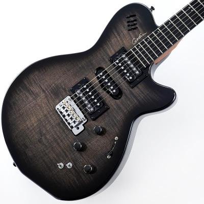 godin session（ギター）｜楽器、器材 | 楽器、手芸、コレクション の