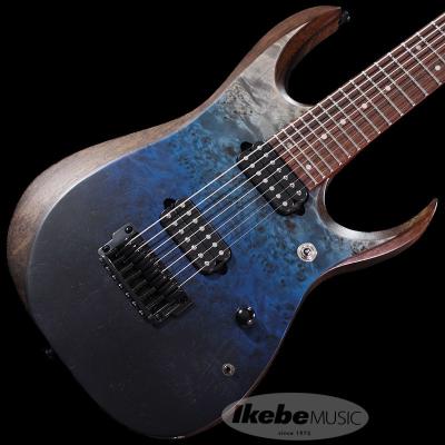 Ibanez RGD（エレキギター、セミアコ、フルアコ本体）の商品一覧 