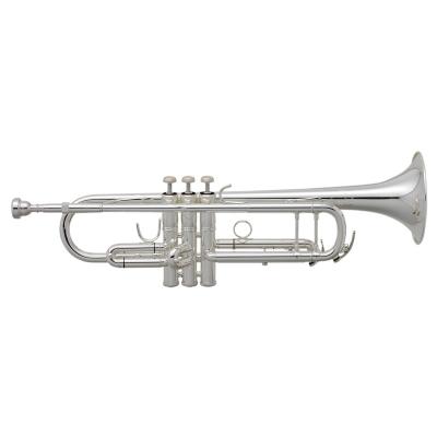 tr200 bachのおすすめ人気商品一覧 通販 - Yahoo!ショッピング