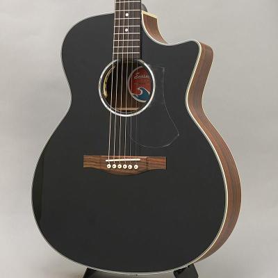 Eastman ギターケース 1/2 42型 黒 eastmanギター ケースの商品一覧 通販 - Yahoo!ショッピング