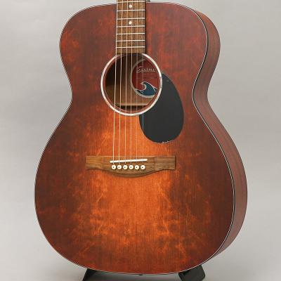 eastman ギター（アコースティックギター、クラシックギター本体