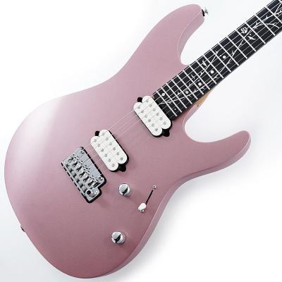 ibanez talman（エレキギター、セミアコ、フルアコ本体）｜ギター