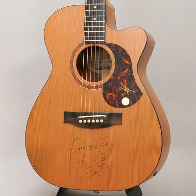 MATON メイトン ギター SRS808 Maton SRS808 メイトン 【 ららぽーとEXPOCITY店