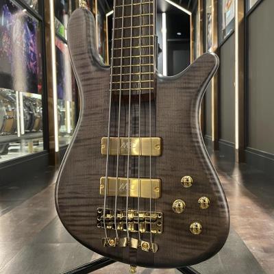 warwick streamer stage 1（楽器、手芸、コレクション）の