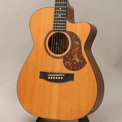 maton 808（アコースティックギター、クラシックギター本体）｜ギター