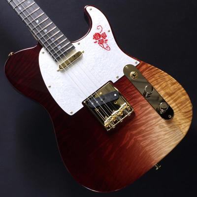 momose ギター（楽器、手芸、コレクション）のおすすめ人気商品一覧