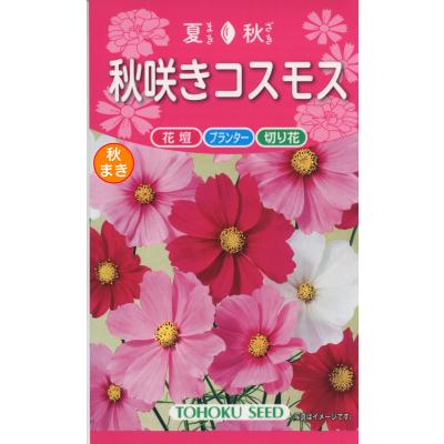 こすもす出品 コスモスの花（花の種）｜種、種子 | 花、ガーデニング の商品一覧