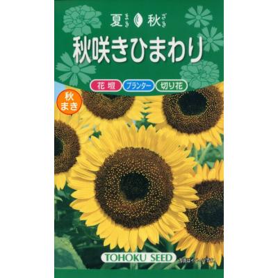 ひまわりの種（花、ガーデニング）の商品一覧 通販 - Yahoo!ショッピング