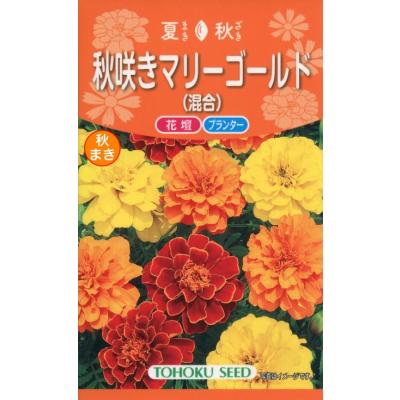 マリーゴールド 種の商品一覧 通販 - Yahoo!ショッピング