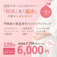 子宝茶120包 ルイボスティー ノンカフェイン 妊活ブレンド 温活 妊娠 出産 子供 赤ちゃん 黒豆 菊芋 ローズヒップ 金時生姜 ごぼう茶 冷え性 | いきいきやまぐち