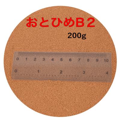 おとひめb2のおすすめ人気商品一覧 通販 - Yahoo!ショッピング
