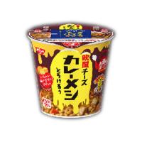 日清 欧風チーズカレーメシとろけるぅ 6個 | お菓子と食品のいっこもんマルシェ