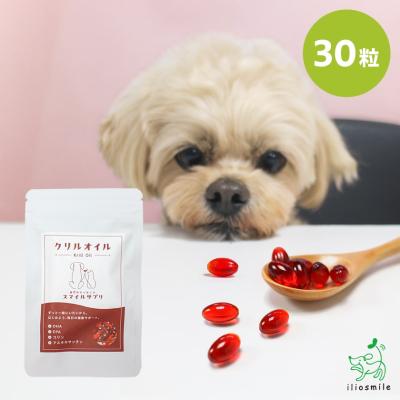 アンチノール犬用の商品一覧 通販 - Yahoo!ショッピング アンチノール犬用の商品一覧 通販 - Yahoo!ショッピング