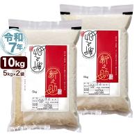 令和7年産 新潟産 新之助 10kg(5kg×2袋) 米 保存に便利なチャック付米袋 送料無料 (北海道、九州、沖縄除く)
