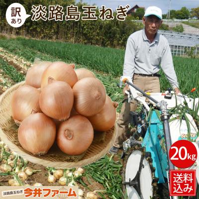 玉ねぎ 20kg（野菜） | 食品 の商品一覧 通販 - Yahoo!ショッピング