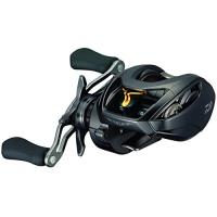 ダイワ(DAIWA) ベイトリール 16 スティーズ SV TW 1016SV-H (2016モデル) | ImportSelection