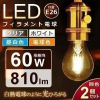 LED電球 E26 おしゃれ フィラメント電球 60W相当 LDA7N-G・LDA7L-G 2個セット アイリスオーヤマ | 照明とエアコン イエプロYahoo!店