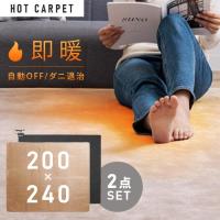 ホットカーペット 3畳 ラグ セット TEKNOS 200×240cm 節電 ダニ退治