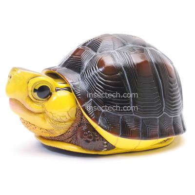 インセクテック動物の惑星フィギュア専門店 - カメ｜Yahoo!ショッピング