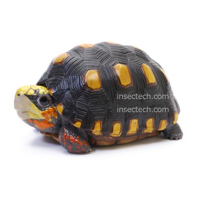 インセクテック動物の惑星フィギュア専門店 - カメ｜Yahoo!ショッピング