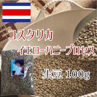 コーヒー生豆 コスタリカ ハニープロセス 100g 焙煎 珈琲 | 焙煎工房 響き奏で