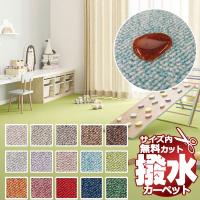 カーペット 2畳 サンゲツ 防炎 制電 防ダニ 抗菌 サンシーマ 江戸間2帖 ...