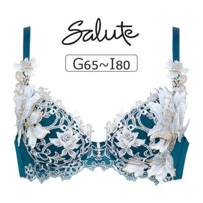 新品 ワコール サルート 店舗限定 29G ブラジャー E70 ショーツL ワコール サルート G70×M ブラジャーショーツ 29G - 下着・アンダー