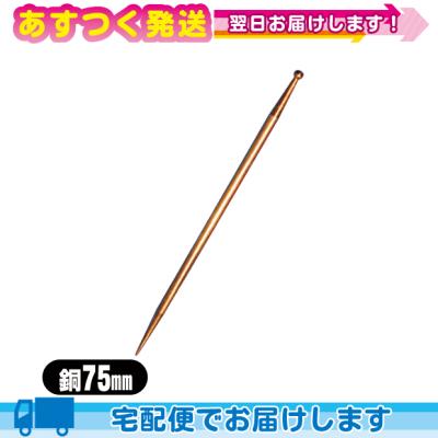 小里式てい鍼のおすすめ人気商品一覧 通販 - Yahoo!ショッピング