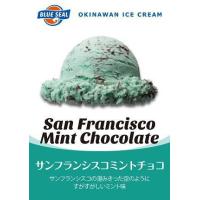 アイスクリーム　業務用サイズ（４リットル）　ブルーシールアイス　SFミントチョコ 