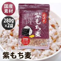 2袋 国内産紫もち麦 280g   ベストアメニティ (D)(B) 【メール便】 | アイリスプラザ Yahoo!店