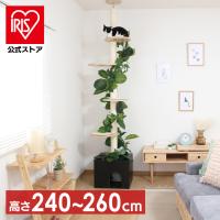 キャットタワー 猫用品 つめとぎ ねこの休ら木 ソラ ナチュラル 58203 (D)(B) | アイリスプラザ Yahoo!店