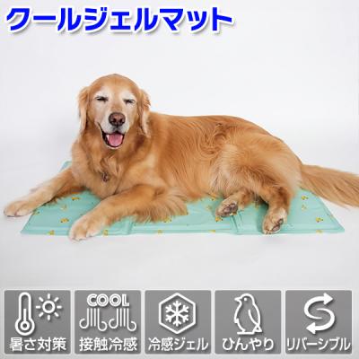 大型犬用品専門店 アイアンバロン - 商品一覧（おすすめ順） - 売れ筋