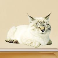 ウォールステッカー 壁紙 おしゃれ 剥がせる 高級感 誕生日 北欧 キッチン リビング 東京ステッカー 岩合光昭 ねこウォールステッカー03 Ssサイズ To 01 セレクトギフトと雑貨のお店イルレ 通販 Yahoo ショッピング