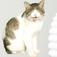 ウォールステッカー 壁紙 おしゃれ 剥がせる 高級感 誕生日 北欧 キッチン リビング 東京ステッカー 岩合光昭 ねこウォールステッカー03 Ssサイズ To 01 セレクトギフトと雑貨のお店イルレ 通販 Yahoo ショッピング