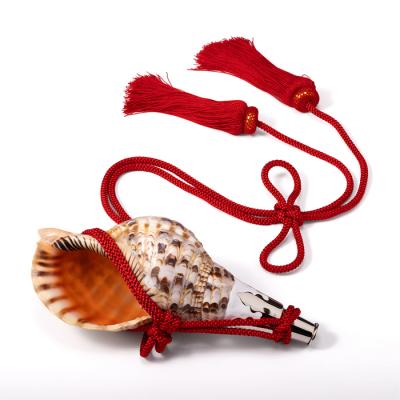 法螺貝のおすすめ人気商品一覧 通販 - Yahoo!ショッピング