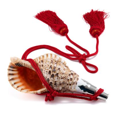 法螺貝のおすすめ人気商品一覧 通販 - Yahoo!ショッピング