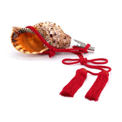 法螺貝のおすすめ人気商品一覧 通販 - Yahoo!ショッピング