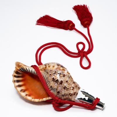 法螺貝のおすすめ人気商品一覧 通販 - Yahoo!ショッピング