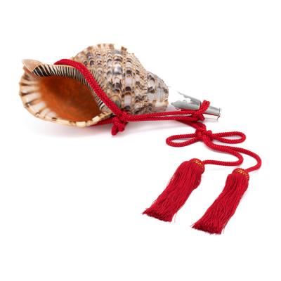 法螺貝のおすすめ人気商品一覧 通販 - Yahoo!ショッピング