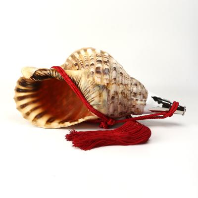 特大 法螺貝 山伏 無量寿経 法華経 螺役 戦国時代 ホラガイ科 和楽器 特大 法螺貝 山伏 無量寿経 法華経 螺役 戦国時代 ホラガイ科 和楽器